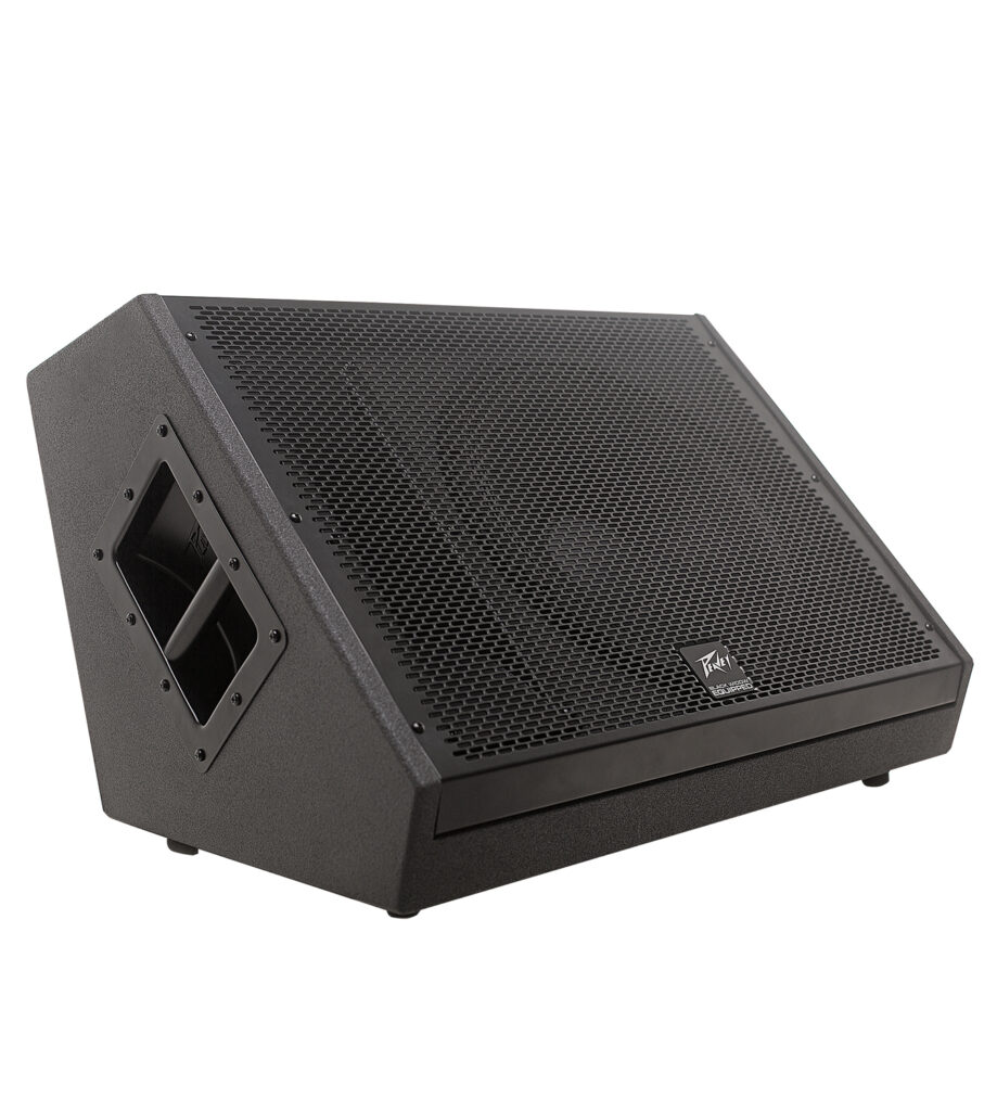Peavey SP 1600w 15" & Horn Monitor Speaker