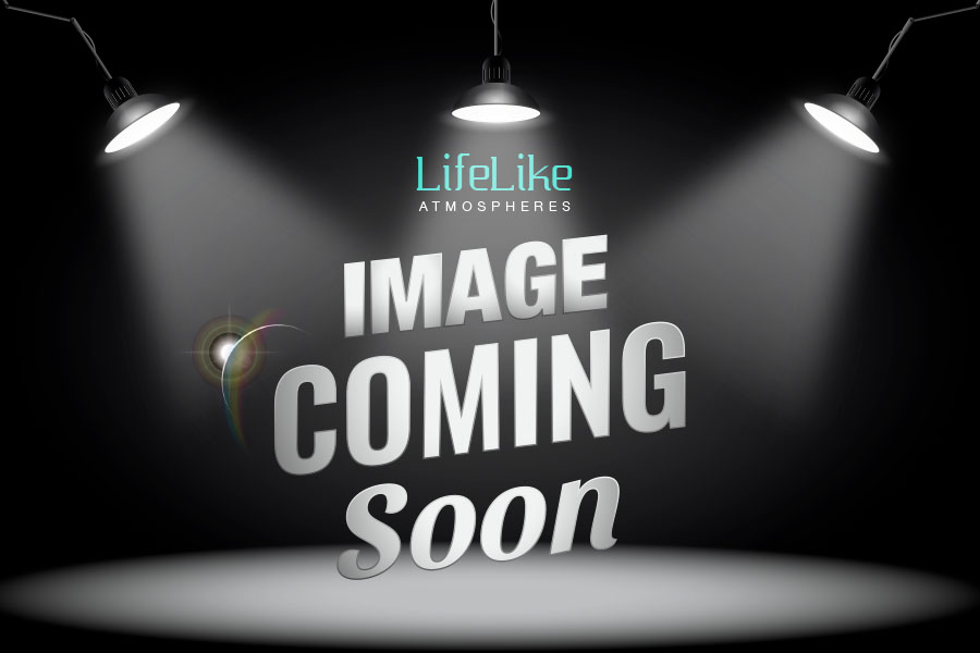 Australian Monitor PA System 200 - Image 1