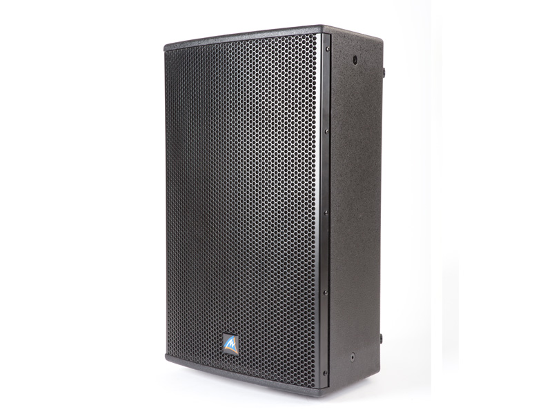 12" Passive PA Speaker