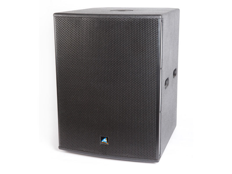 Dual 12" Subwoofer (1200W)